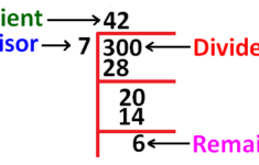 Dividend Divisor Quotient Remainder Worksheets